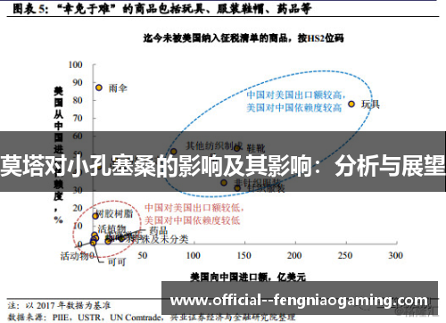 莫塔对小孔塞桑的影响及其影响:分析与展望 莫塔对小孔塞桑的影响及其影响:分析与展望