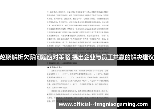 赵鹏解析欠薪问题应对策略 提出企业与员工共赢的解决建议