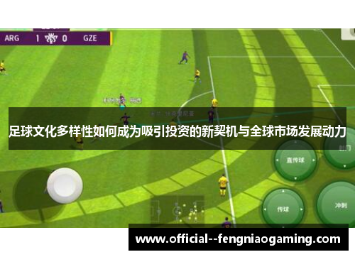 足球文化多样性如何成为吸引投资的新契机与全球市场发展动力