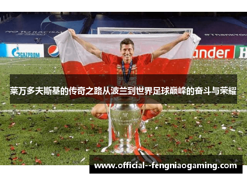 莱万多夫斯基的传奇之路从波兰到世界足球巅峰的奋斗与荣耀