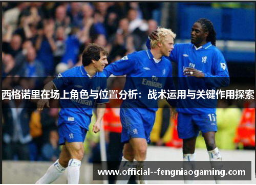 西格诺里在场上角色与位置分析：战术运用与关键作用探索