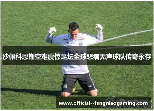 沙佩科恩斯空难震惊足坛全球悲痛无声球队传奇永存