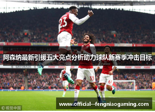 阿森纳最新引援五大亮点分析助力球队新赛季冲击目标