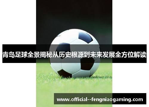 青岛足球全景揭秘从历史根源到未来发展全方位解读
