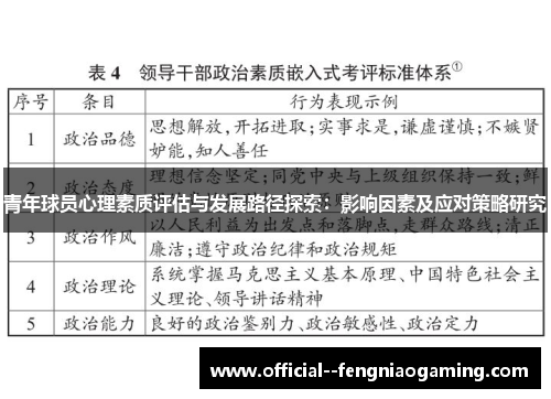 青年球员心理素质评估与发展路径探索：影响因素及应对策略研究