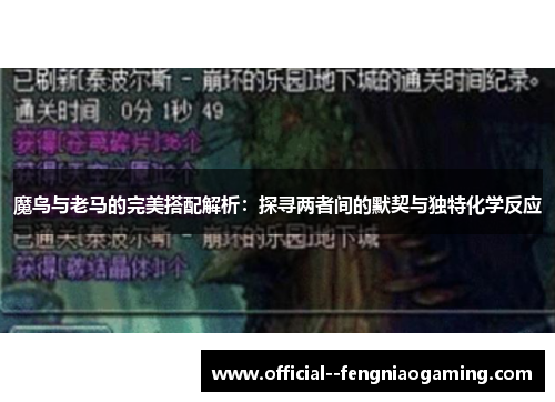 魔鸟与老马的完美搭配解析：探寻两者间的默契与独特化学反应