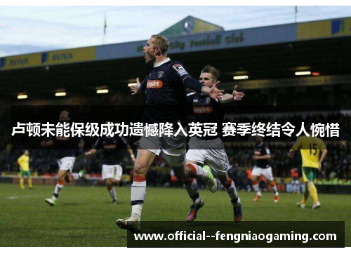 卢顿未能保级成功遗憾降入英冠 赛季终结令人惋惜